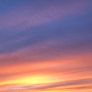 Meet your Posher, Hope